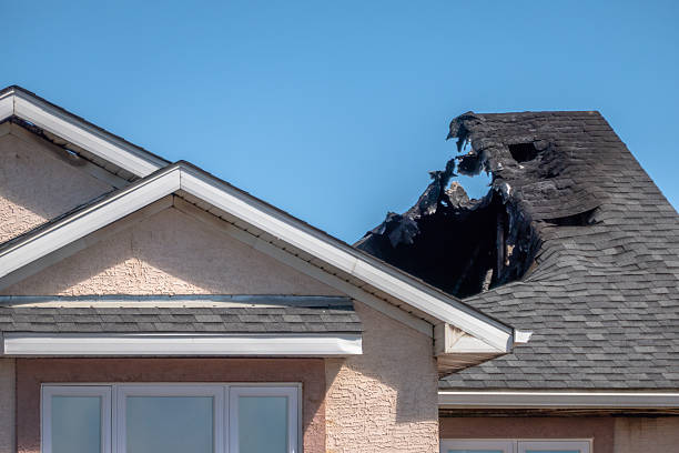 Top rated local Emergency Fire Cleanup specialists in Mount Holly, NJ